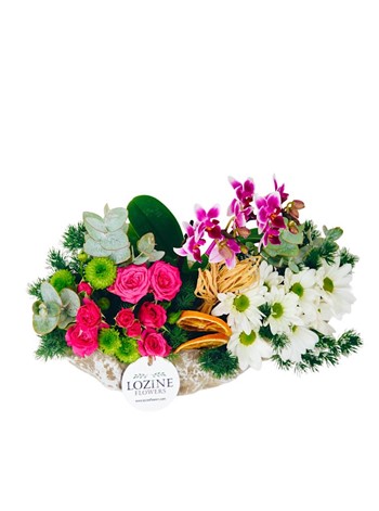 Kayık Saksıda Mini Orkide ve Renkli Çiçekler