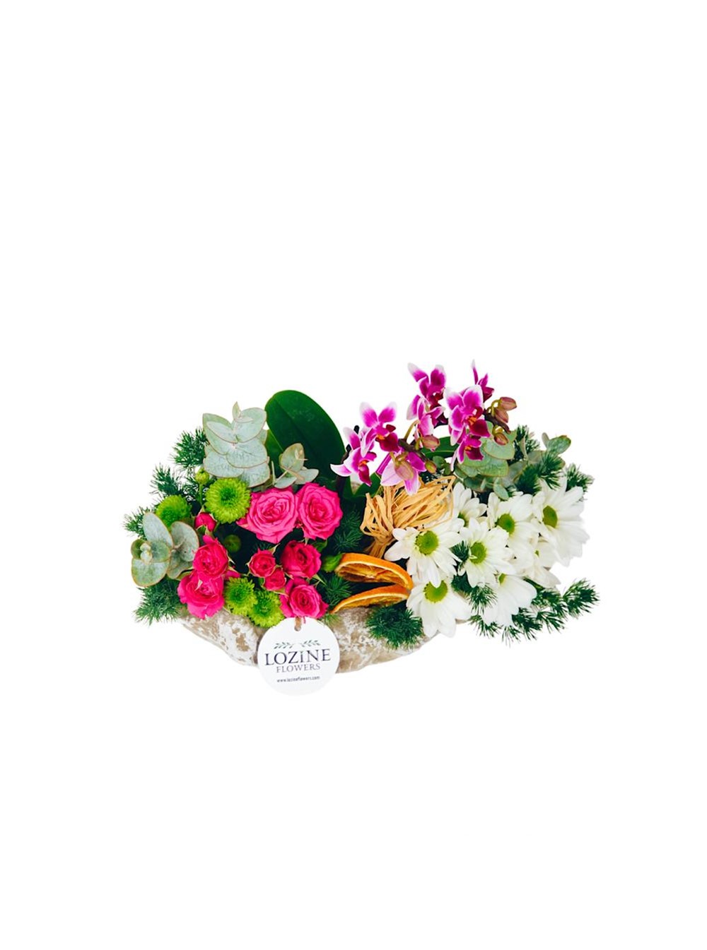 Kayık Saksıda Mini Orkide ve Renkli Çiçekler