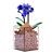 Mavi Orkideler kategori ikonu