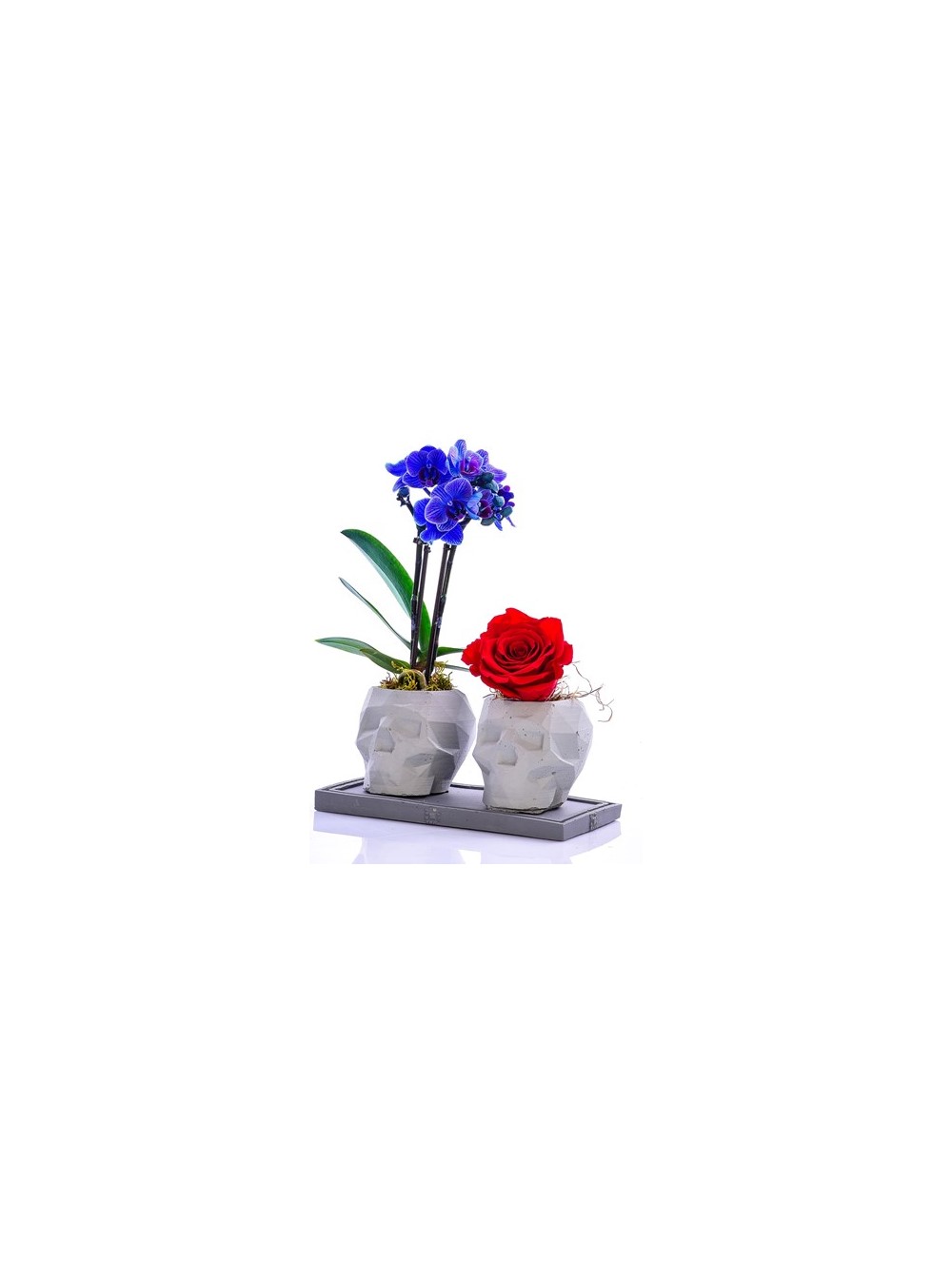 Kuru Kafa Serisi Mini Mavi Orkide ve Kırmızı Solmayan Gül