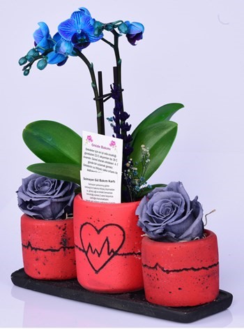Kalp Ritmi Serisi İthal Mini Mavi Orkide ve Solmayan Gül Gri