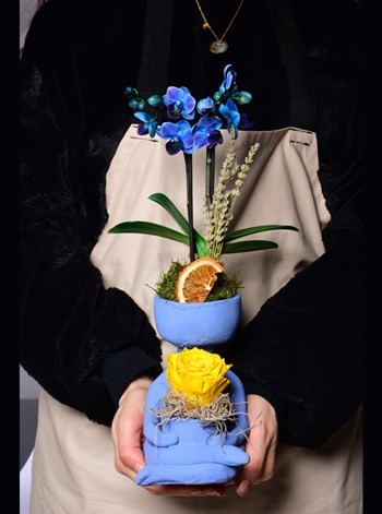 Lisa Saksıda İthal Mavi Orkide ve Solmayan Gül Sarı