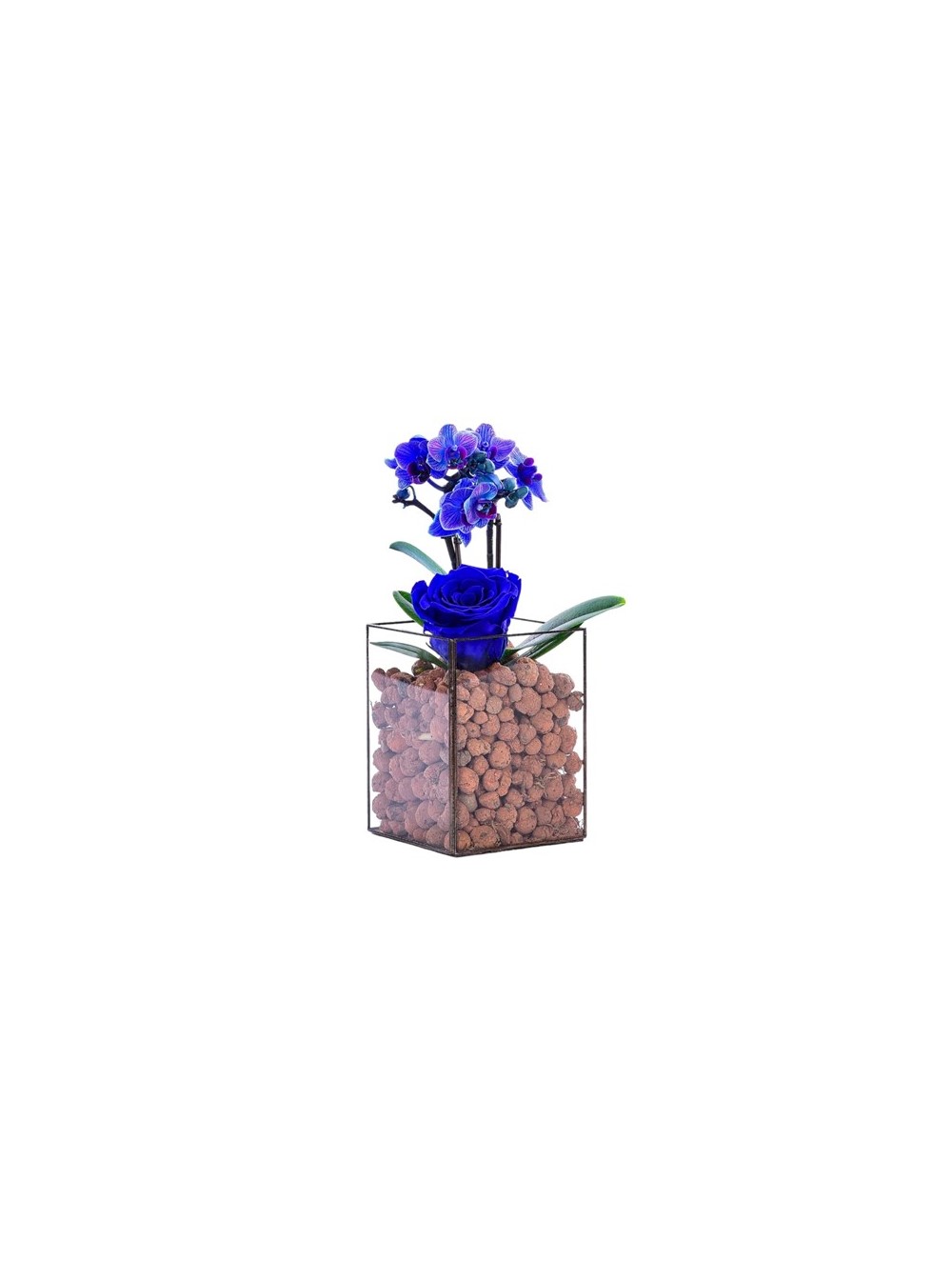 Vitray Camda Mavi Orkide ve Mavi Solmayan Gül