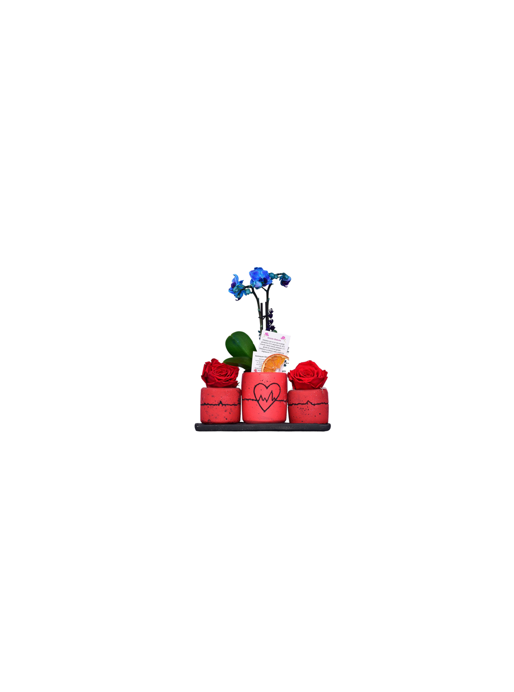 Kalp Ritmi Serisi İthal Mini Mavi Orkide ve Solmayan Gül Kırmızı